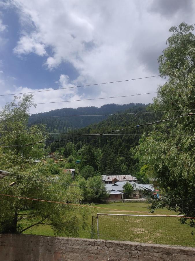 Woods Mountain View